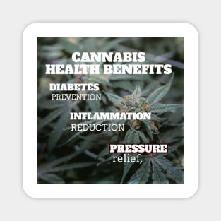 Cannabis health benefits: diabetes prevention, inflammation reduction, pressure relief Magnet