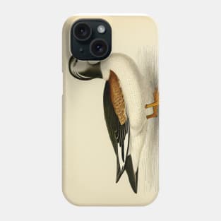 Vintage Duck Painting Phone Case