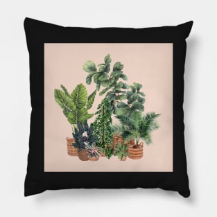 House Plants Illustration 2 On Pink Pillow