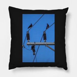 Two Pigeons on Powerlines Pillow