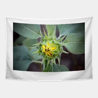 Sunflower Bud Tapestry