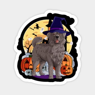 Newfoundland Dog Cute Witch Halloween Pumpkin Magnet