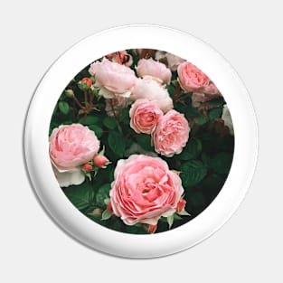 Dark Rose Pin