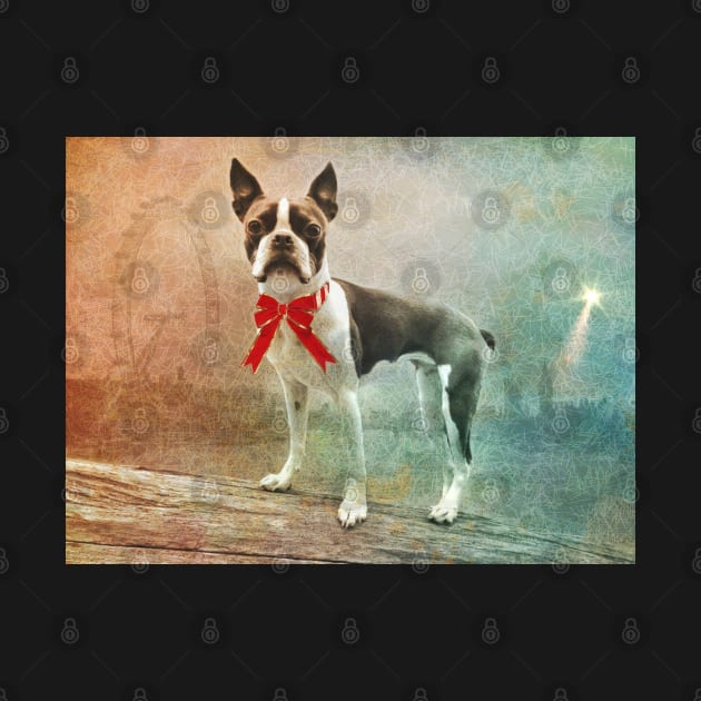 Portrait of Meryl the Boston Terrier by Ludwig Wagner