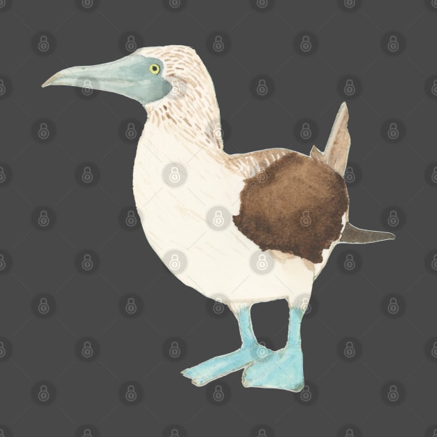 BLUE-FOOTED BOOBY BIRD - Watercolor Painting by VegShop