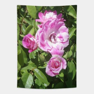 Pink Roses Tapestry