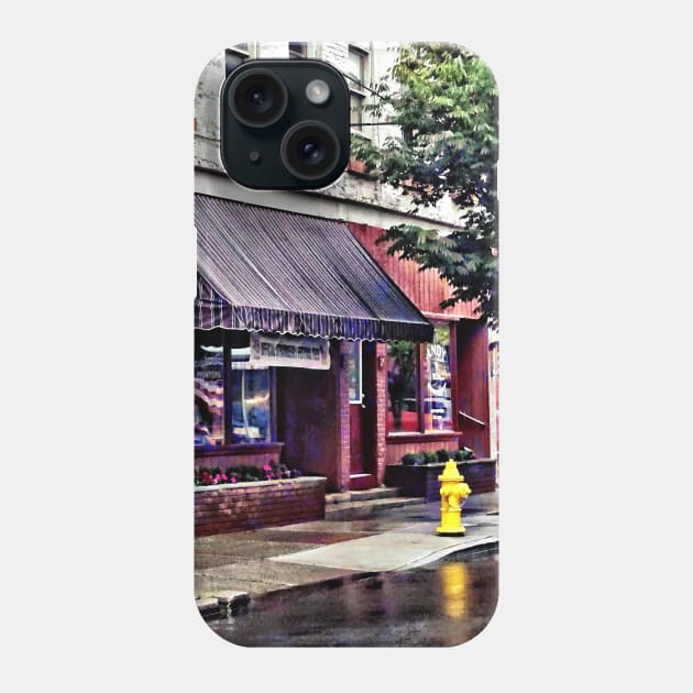 Owego NY - Fire Hydrant by Barber Shop Phone Case by SusanSavad