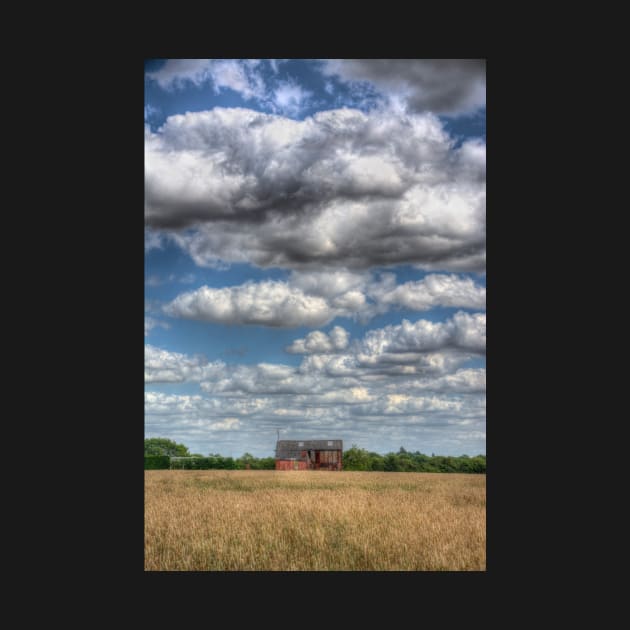 Grain Barn and Barley Field by Nigdaw