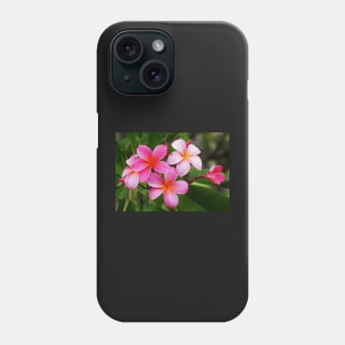 Kailua Kona Pink Plumeria Phone Case