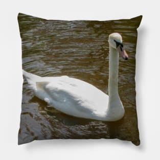 Mute Swan Pillow