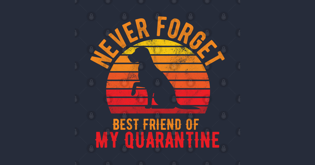 Funny Quarantine Quotes funny quarantine quotes gifts Funny