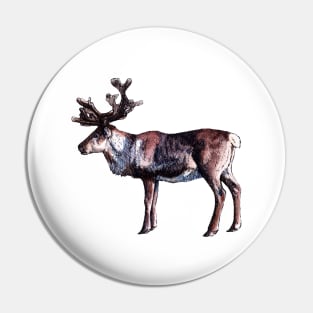 Reindeer - Watercolor and Ink Illustration Pin