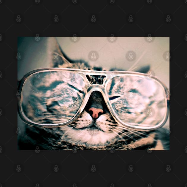 Cat with Funny Glasses by SandraKC