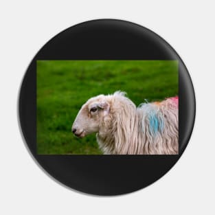 Sheep Pin