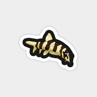 Golden Zebra Loach Magnet