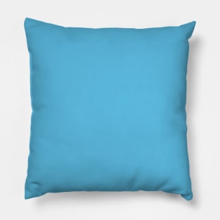 Z. Blue Pillow