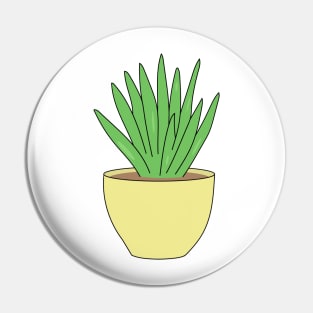 Home plant in a pot. Pin
