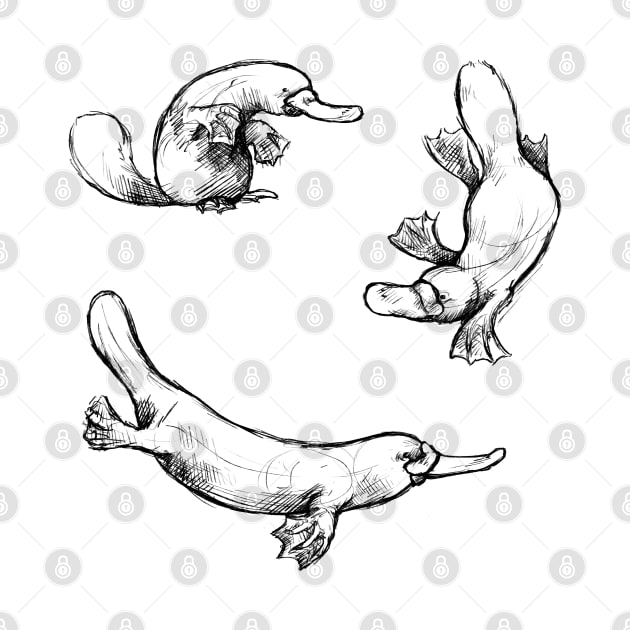 Sketches of a Platypus by AniaArtNL