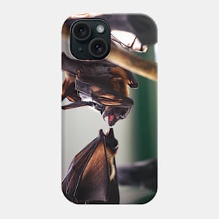 bat, bats fight Phone Case