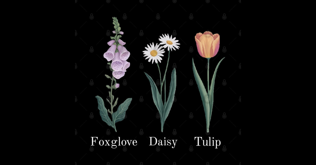 Foxglove Daisy Tulip subtle - Foxglove Daisy Tulip - Posters and Art ...