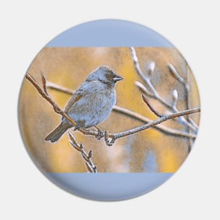 Indigo Bunting 1-9U Pin