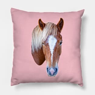 Horse Pillow