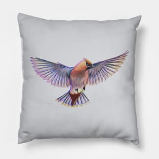 Bohemian Waxwing drawing Pillow