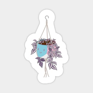 tradscantia plant in trans pride masc pot Magnet