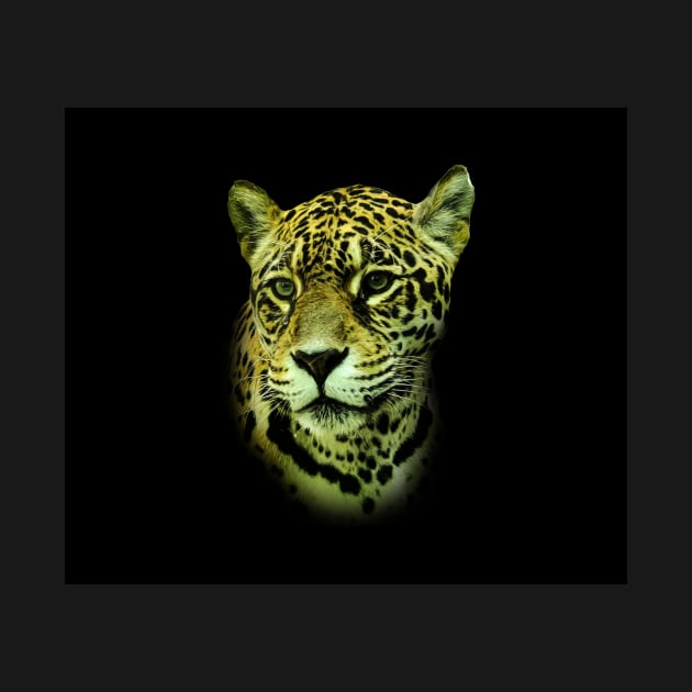 Jaguar portrait by Guardi