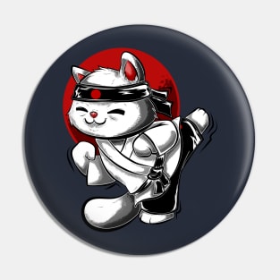 Animal Kungfu cat cute asian culture Pin