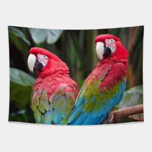 Green-Winged Macaw Sisters Tapestry
