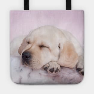 Sleeping labrador Tote