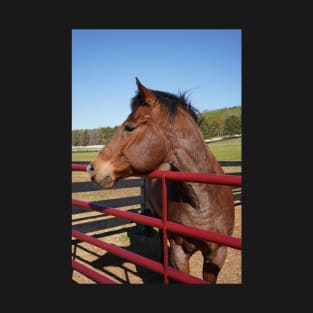 bay horse with red fence T-Shirt