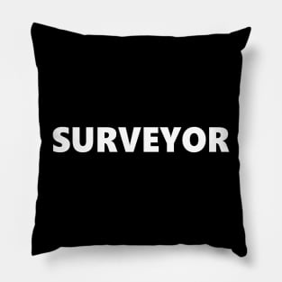 SURVEYOR Pillow