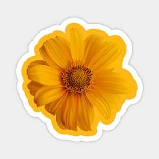 Yellow Sun Flower Magnet