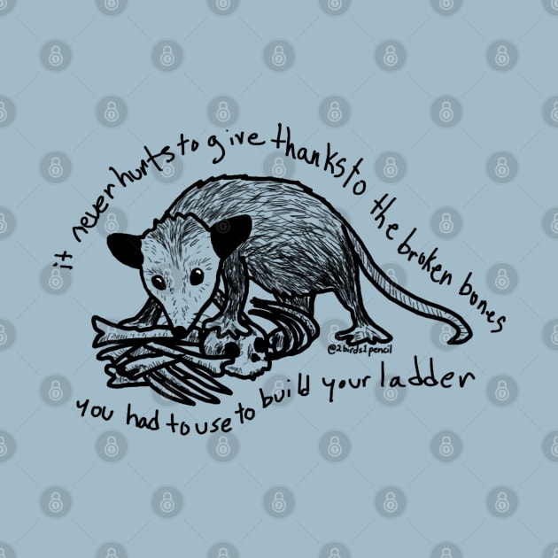 Possum standing on bone pile - inspired by lyrics from the Mountain Goats by 2Birds1Pencil