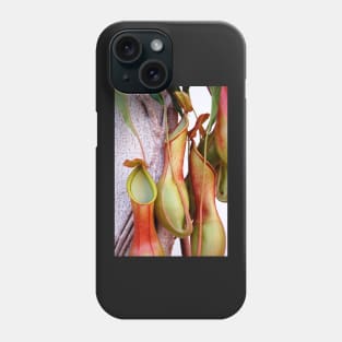 Pitcher Plants Phone Case