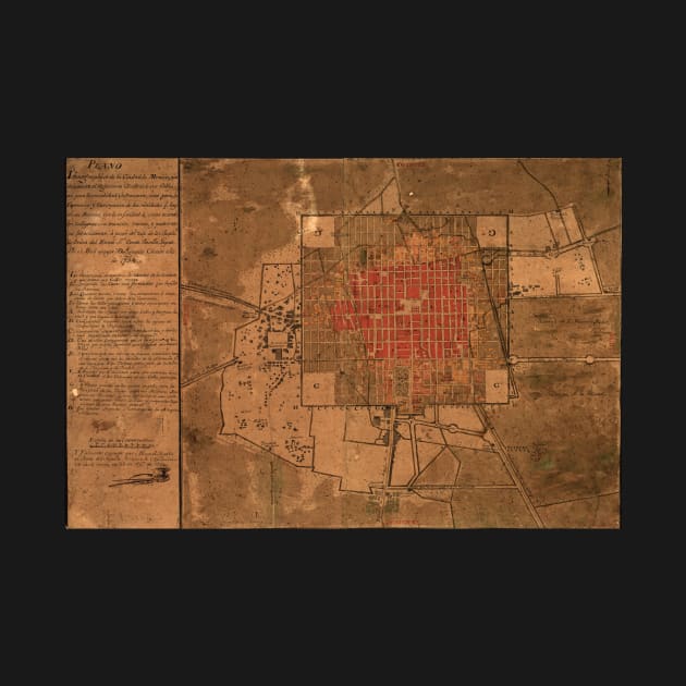 Vintage Map of Mexico City Mexico (1800) by Bravuramedia