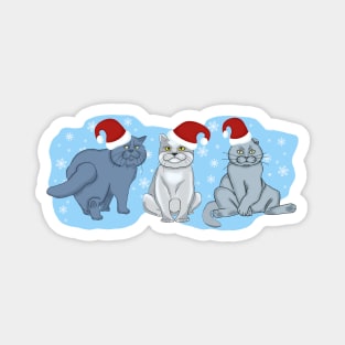 Christmas cats. Three cats on a blue background with snowflakes. Magnet