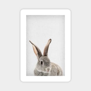 Rabbit 34 Magnet