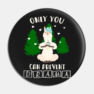 Only You Can Prevent Drama Llama Funny Pin