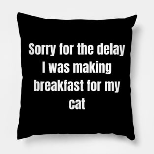 Sorry for the delay I was making breakfast for my cat Pillow