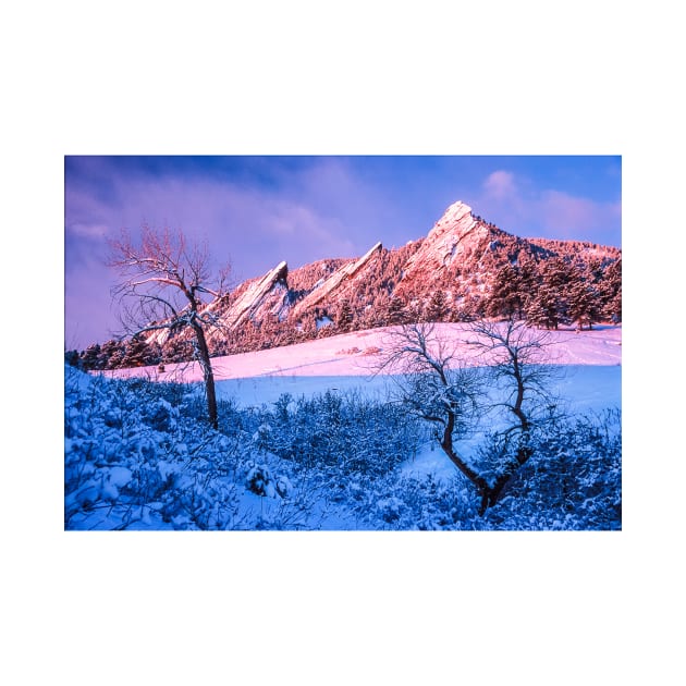 The Flatirons In Winter Blues And Pink by nikongreg