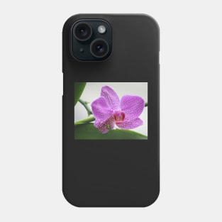 Key West flower Phone Case