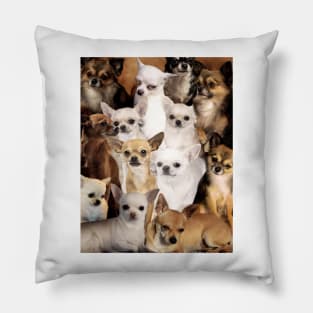 Chihuahuas Pillow