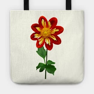 Red and Yellow Single Dahlia Tote