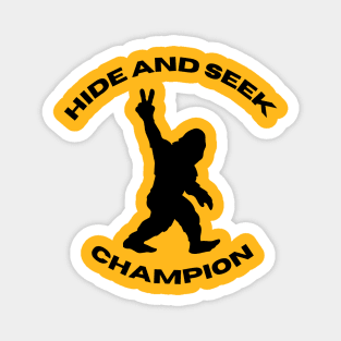 Hide and seek champion! Magnet