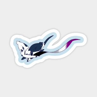 Asexual kitty Magnet