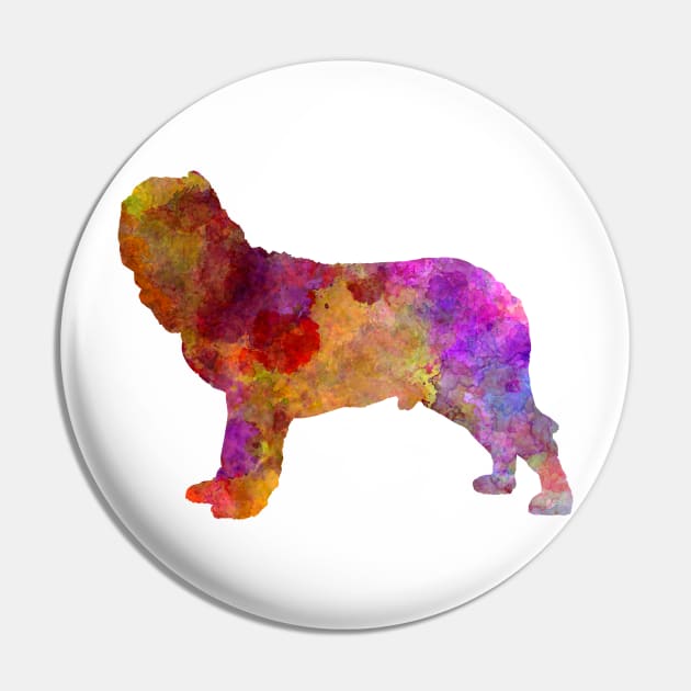 Napolitan Mastiff in watercolor Pin by PaulrommerArt