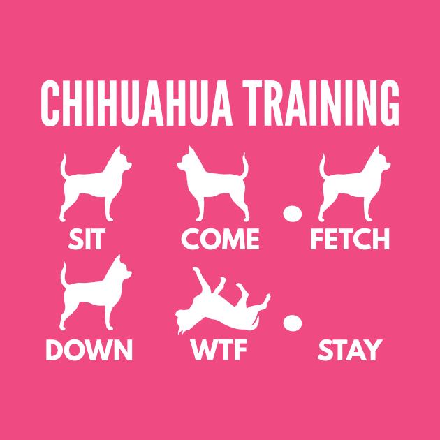 Chihuahua Training Chihuahua Dog Tricks by DoggyStyles